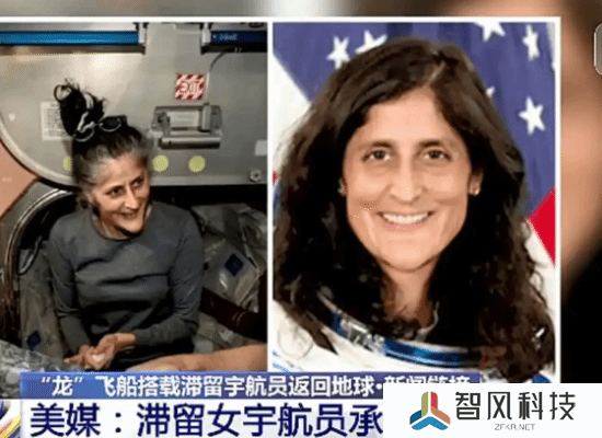 本站