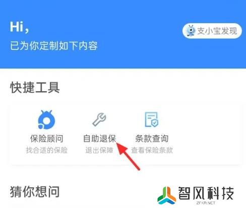 支付宝蚂蚁保险怎么退保关闭