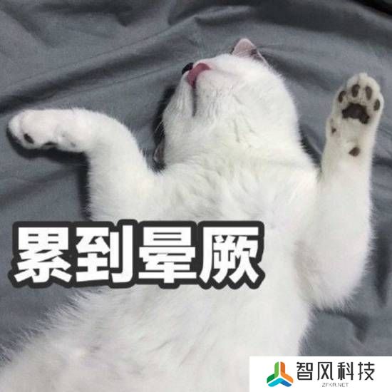 本站