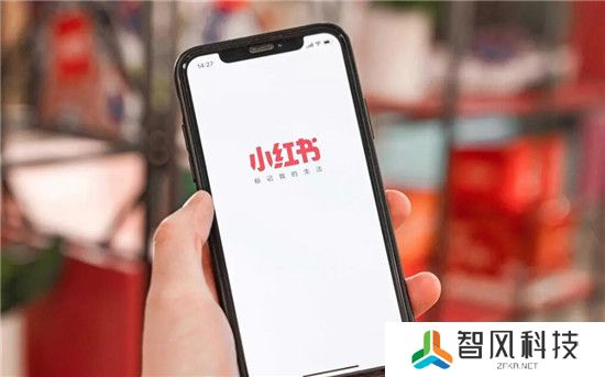获得小红书商家版授权的条件有哪些
