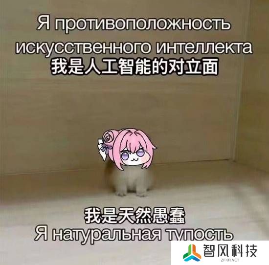 本站