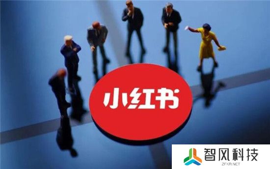 快速吸粉的秘诀是什么