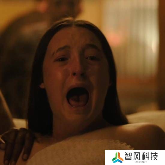 本站