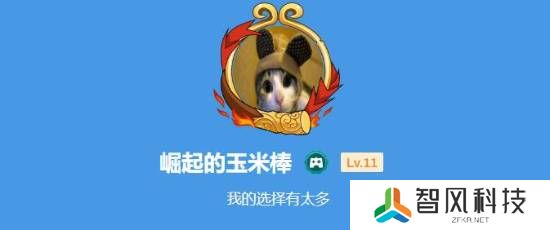 本站