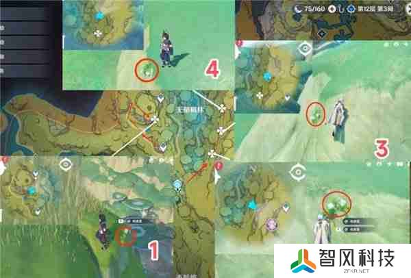 原神劫波莲最佳采集路线一览