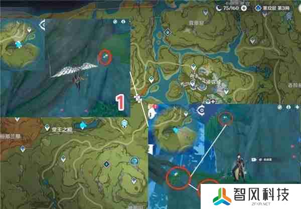 原神劫波莲最佳采集路线一览