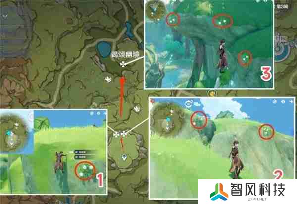 原神劫波莲最佳采集路线一览