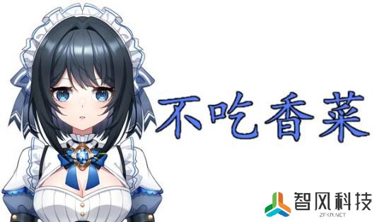 本站