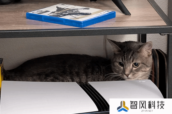 本站