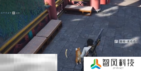 燕云十六声开封醉花阴猫戏在哪里 开封猫戏位置一览