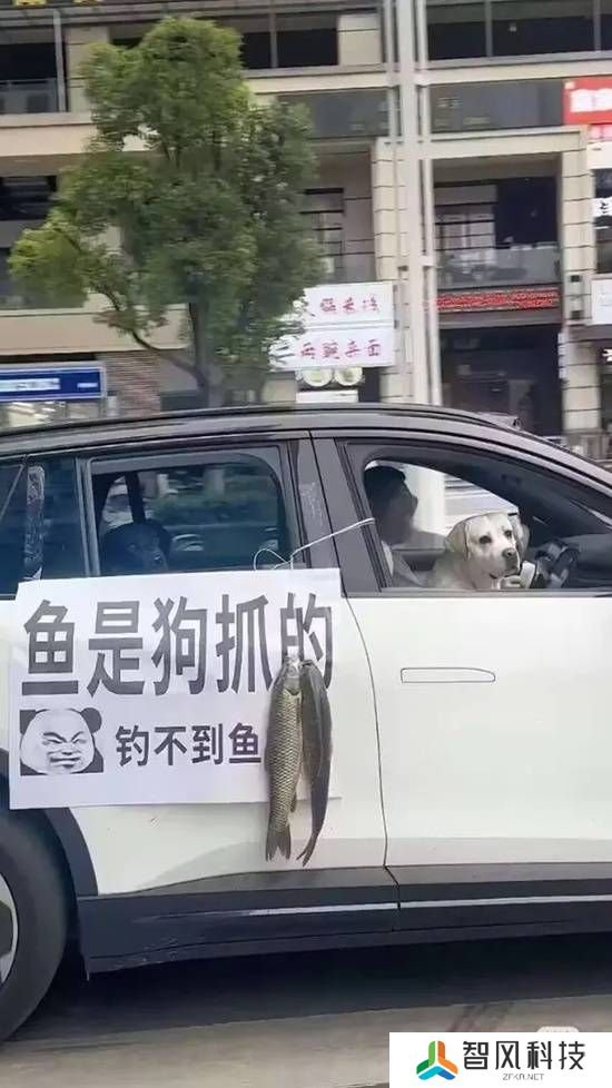 本站