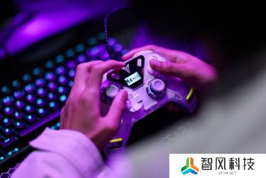 本站
