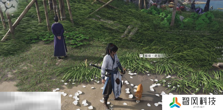 燕云十六声清河不羡仙猫戏在哪里 清河猫戏位置一览