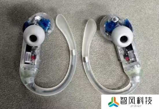 本站