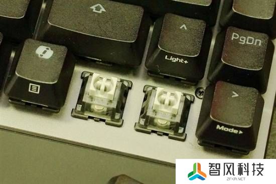 本站