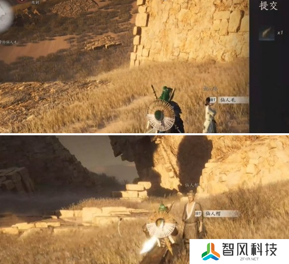 燕云十六声猫瘾患者奇遇怎么做 猫瘾患者奇遇攻略
