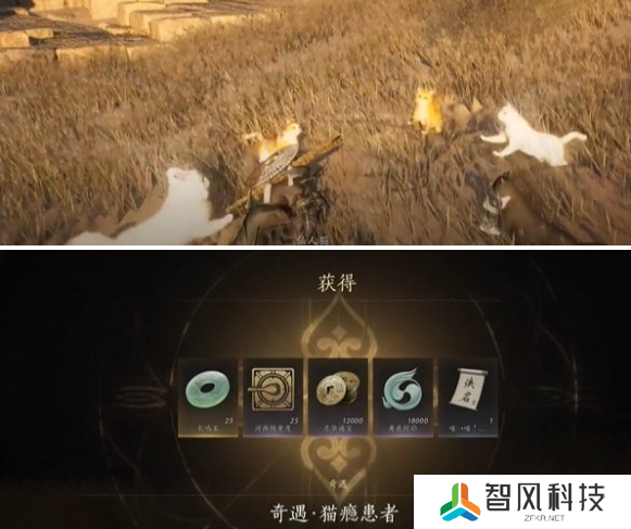 燕云十六声猫瘾患者奇遇怎么做 猫瘾患者奇遇攻略