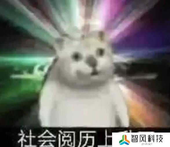 本站