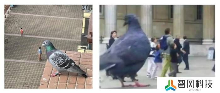 本站