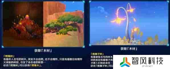 原神尘歌壶纳塔有几种木材