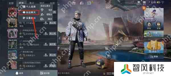 和平精英设置隐身登录方法攻略
